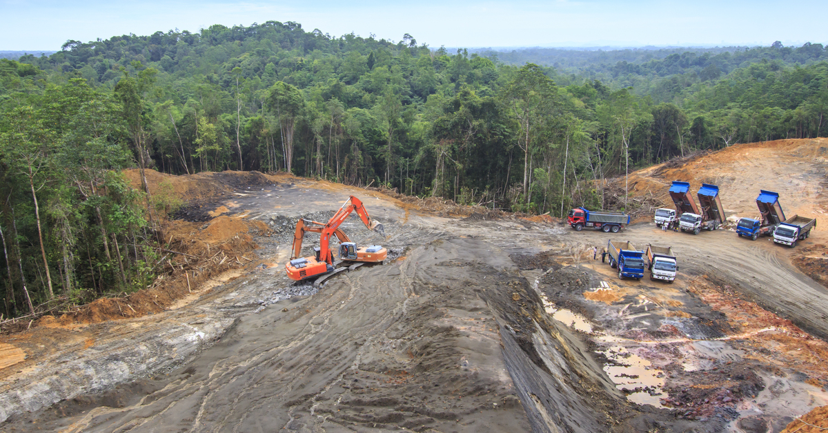 HRW Assesses Sarawak's Timber And Palm Oil Industries