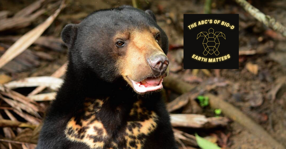 The ABC's of Biodiversity: Sun Bears