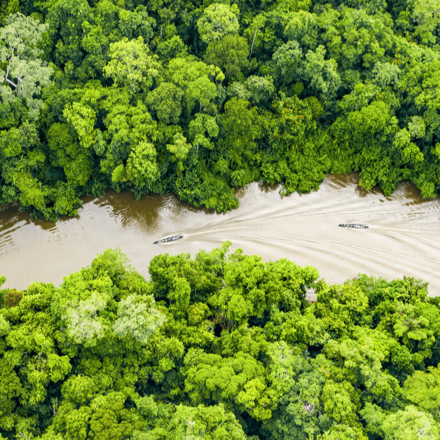 Wat-er We Doing To Protect Our Rivers?