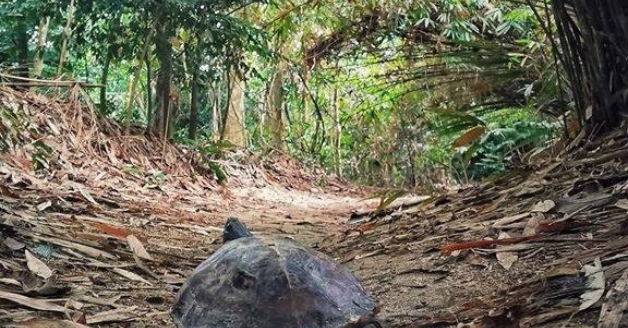 You've Got A Friend in Bukit Kiara