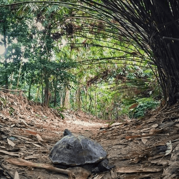 You've Got A Friend in Bukit Kiara