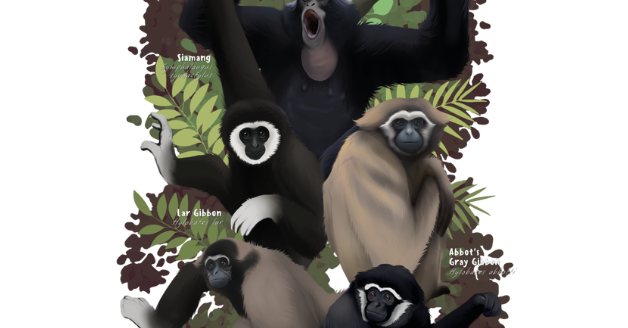 ABC's of Biodiversity: Gibbons of Malaysia