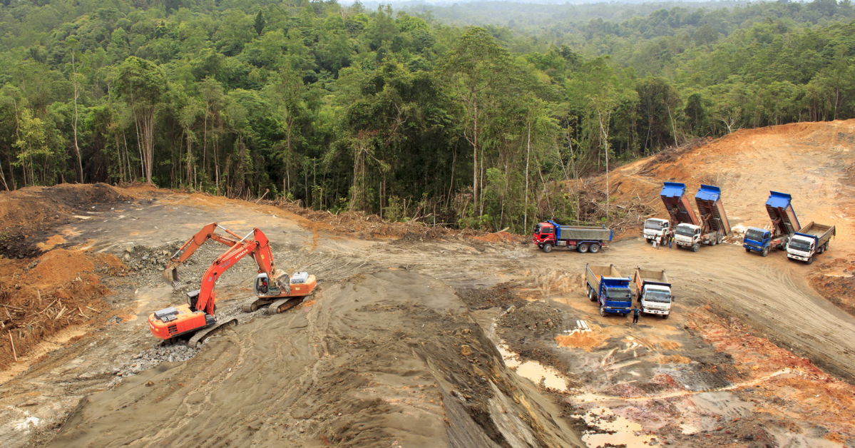 Post GE15: Priorities for the Environment in Sarawak