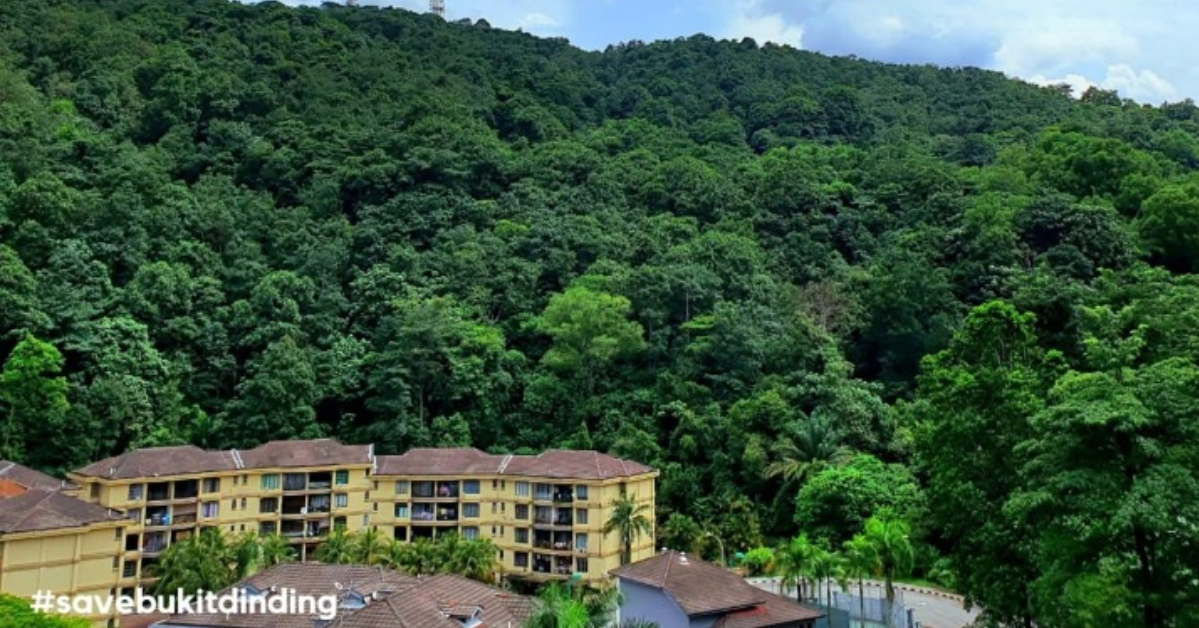 Saving Bukit Dinding