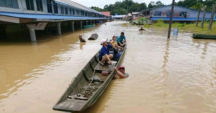 Forest Loss, Monoculture Plantations & Floods in Sarawak