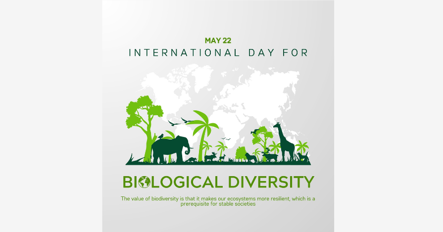 International Day for Biological Diversity 2023 Special