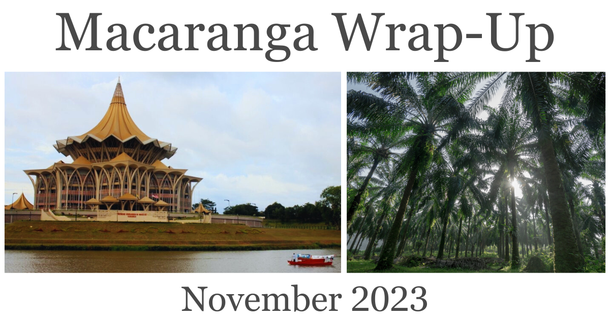 Macaranga Wrap-Up: November 2023