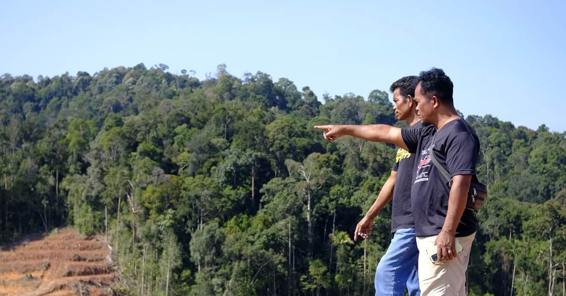 Can Forest Plantations Be Sustainable in Peninsular Malaysia?