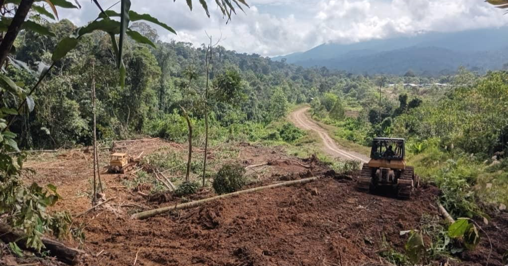 How Communities Are Stopping Logging In Sarawak