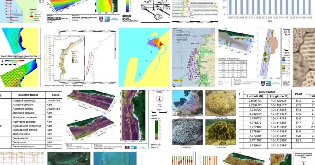  Understanding Environmental Impact Assessments