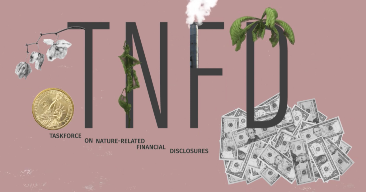The Problem with TNFD Disclosures Explained