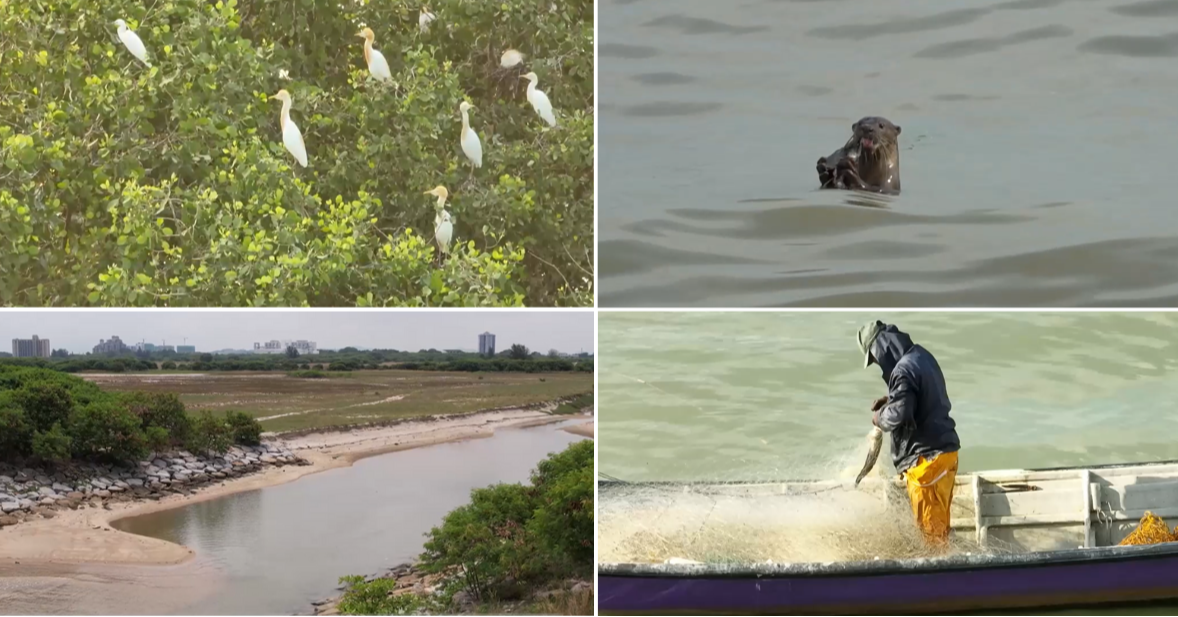 Melaka Mega Reclamation: What’s at Stake?