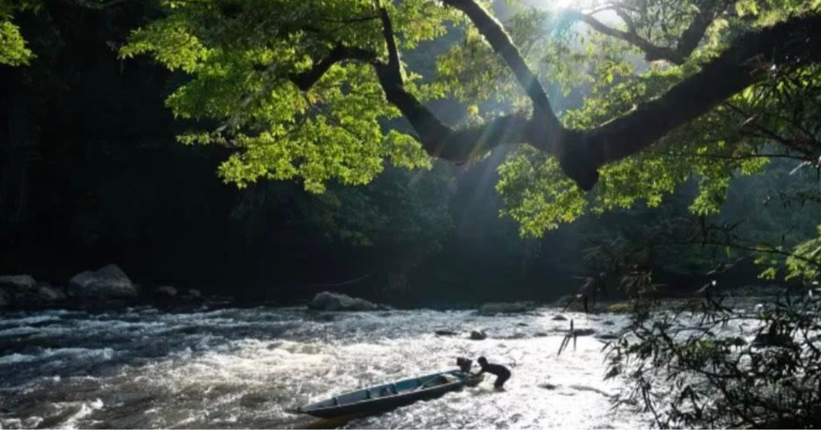  Logging, Blockades, and Hope in Sarawak’s Forests