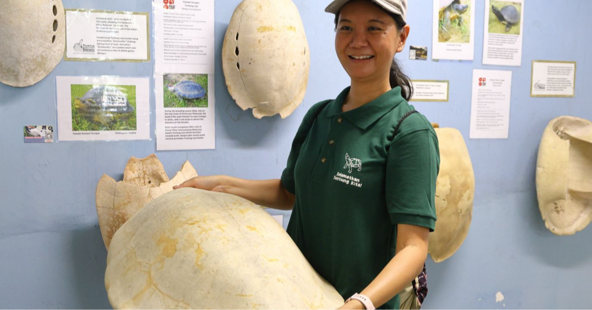 Why River Terrapins Matter More Than You Think