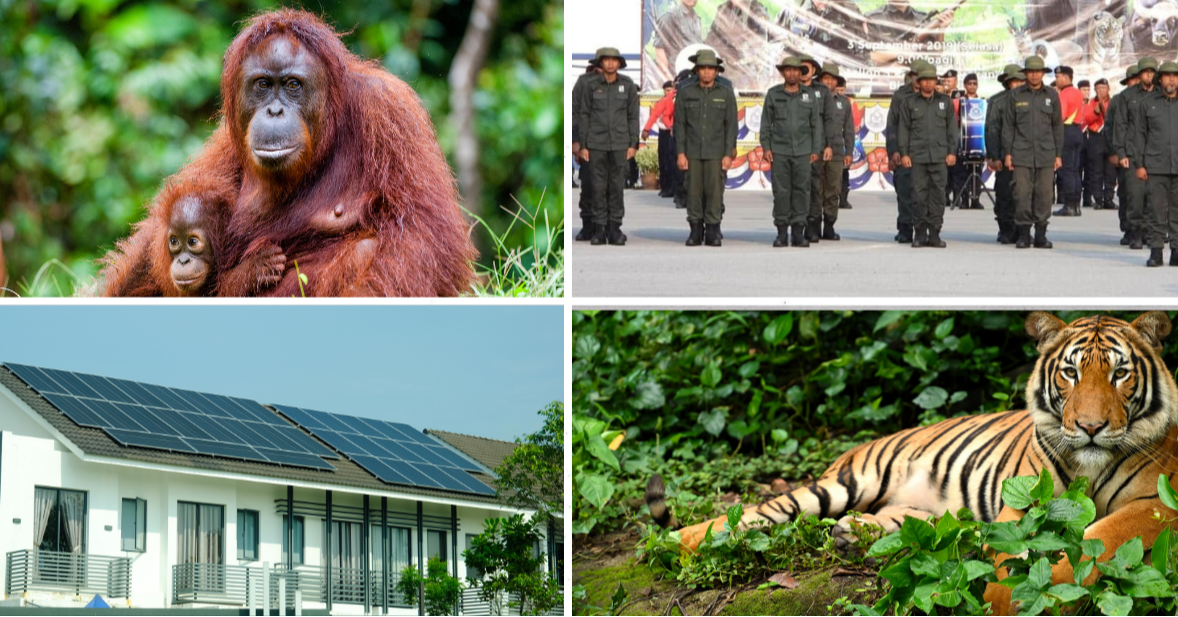 Budget 2026: Investing in (or Ignoring) the Environment?