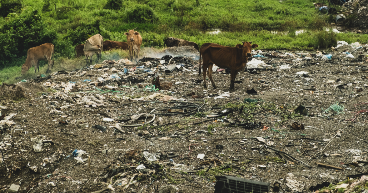  US E-Waste Flooding Malaysia, Report Finds