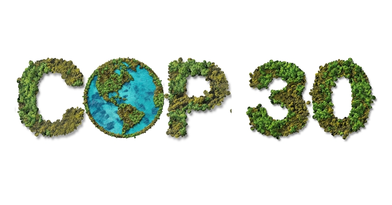 Key Takeaways from COP30 in Belém