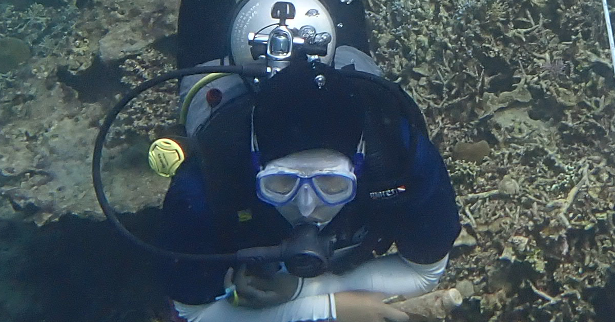 Malaysia Loses 47,000 Football Fields of Coral