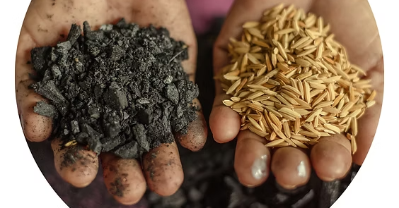 Understanding Malaysia's Seed Law Shift