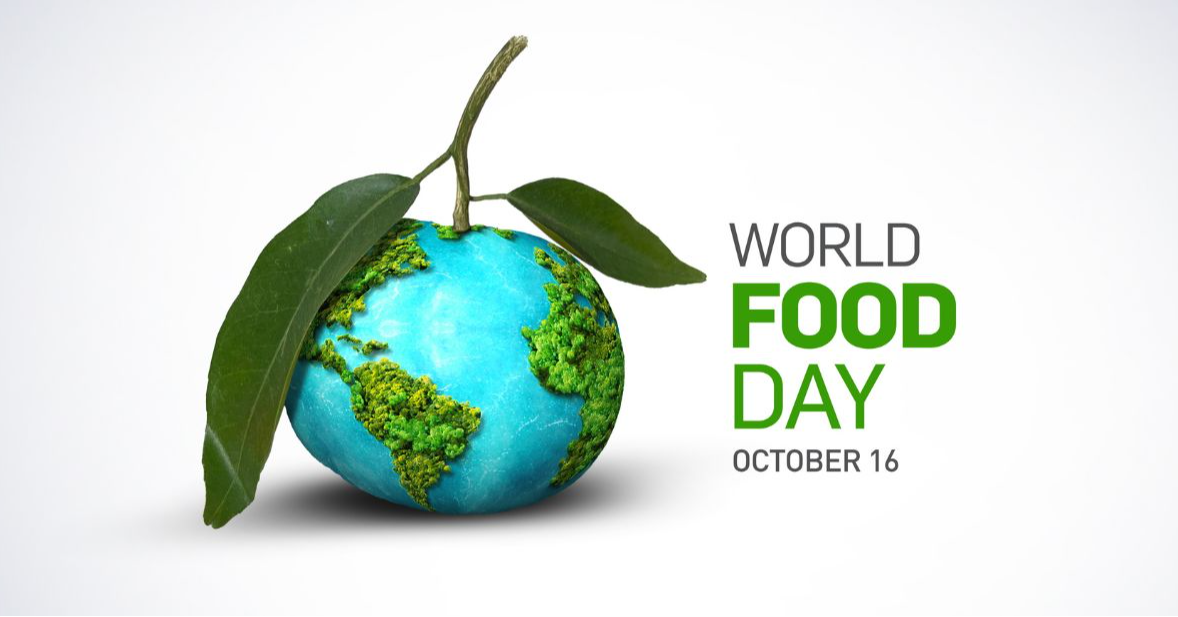 Waste or Opportunity? The Hidden Economy of Food