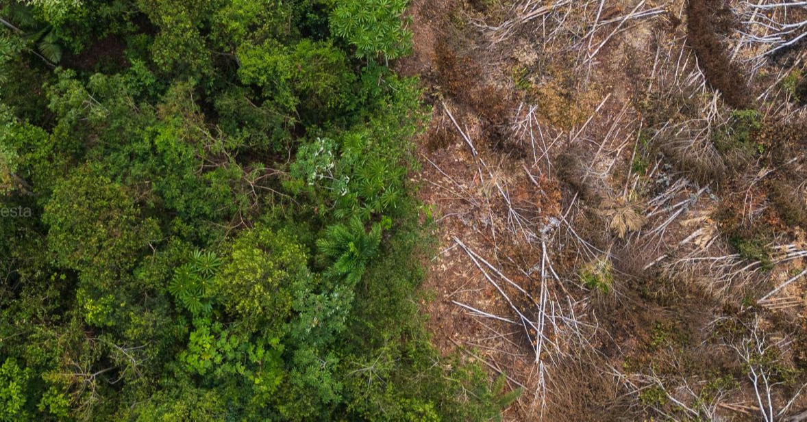 Proof Over Pledges: Inside The Climate Sentiment Fracture