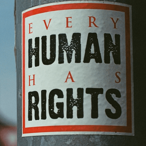 Today On Twitter: Human Rights Day