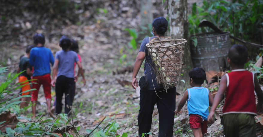 Why Can’t Orang Asli Sell Forest Produce?