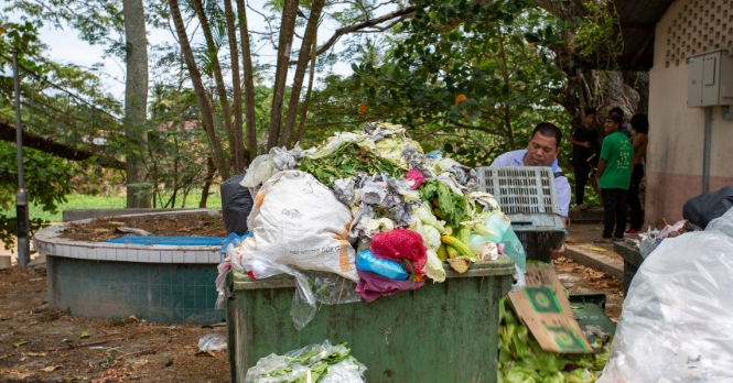 Why Sellers Are Throwing Veggies Away