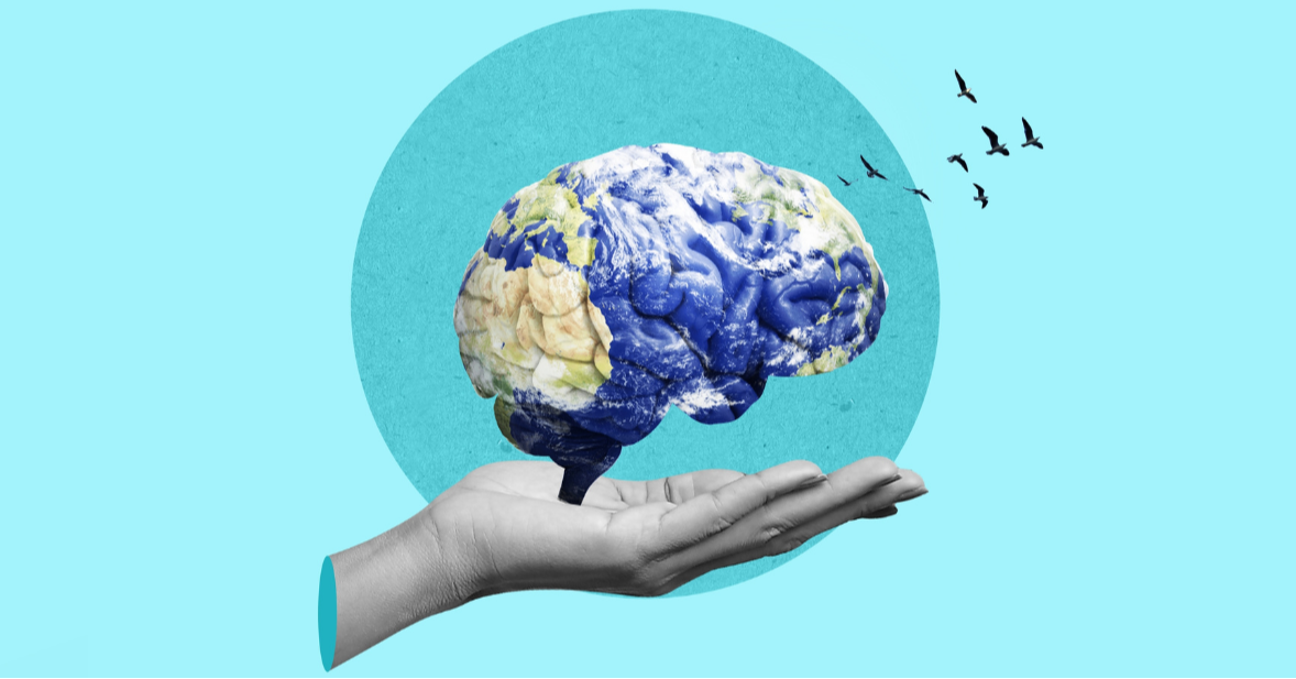 What Makes The Brain Beautiful