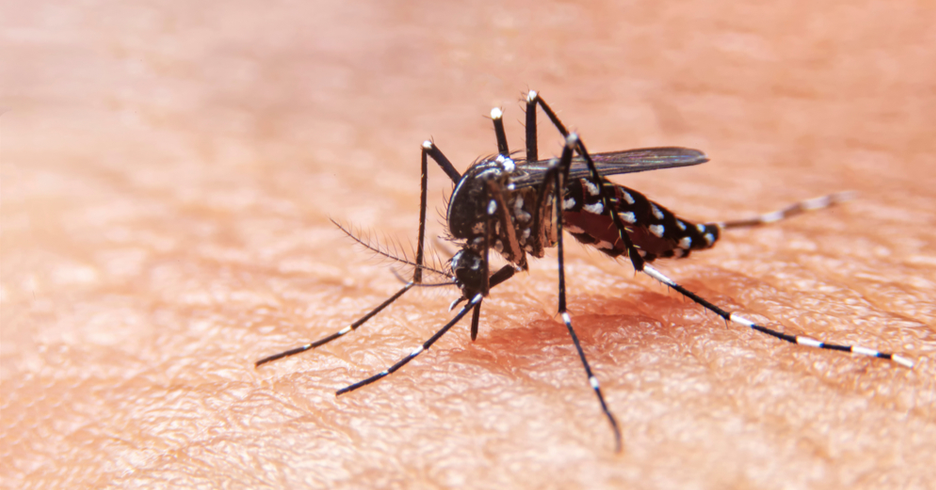 Public Health: Is The Endgame In Sight for Dengue?
