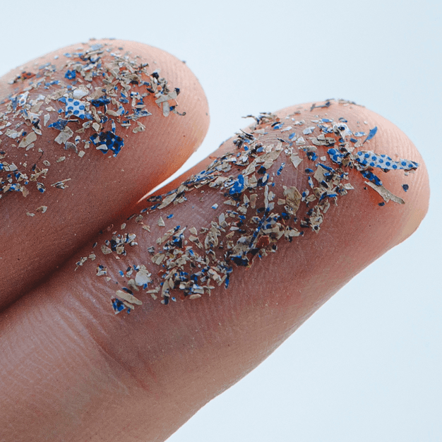 Doctor in the House: How Do Microplastics Affect The Human Body?