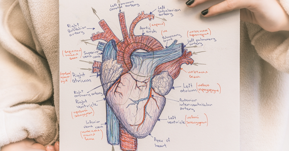 The Forgotten Leaky Heart Valve