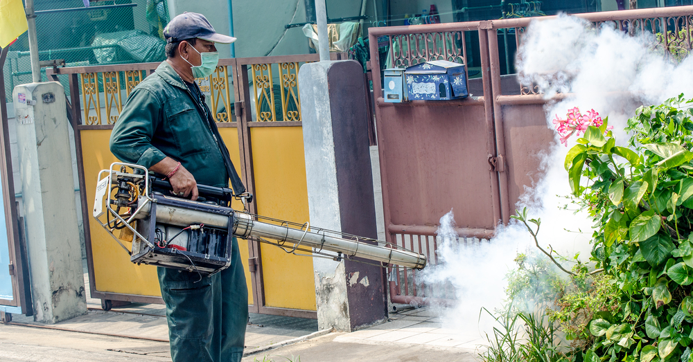 Dengue in ASEAN: Challenges and Lessons Learned