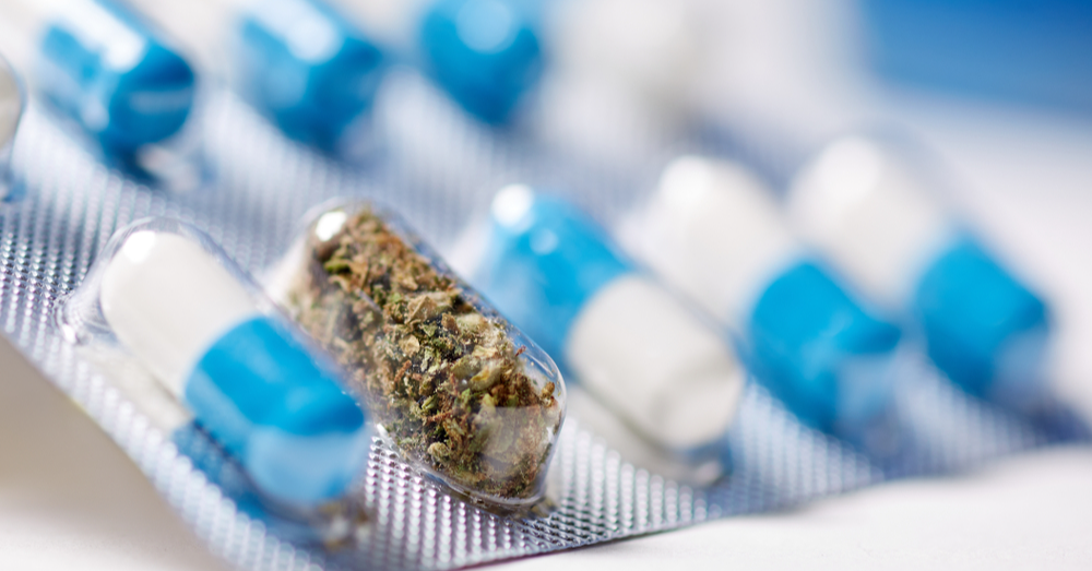 Doctor in the House: Cannabis As An Antiviral?
