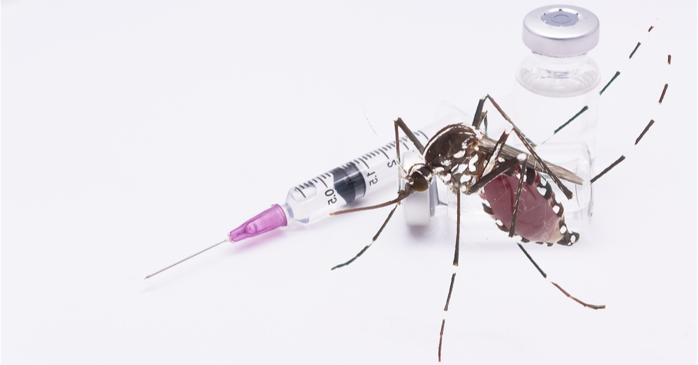 Doctor in the House: A New Vaccine For Dengue Approved!