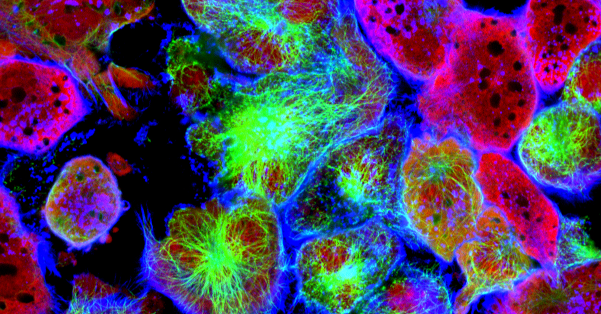 Why Your Cells Glow: The Science You Didn’t Know