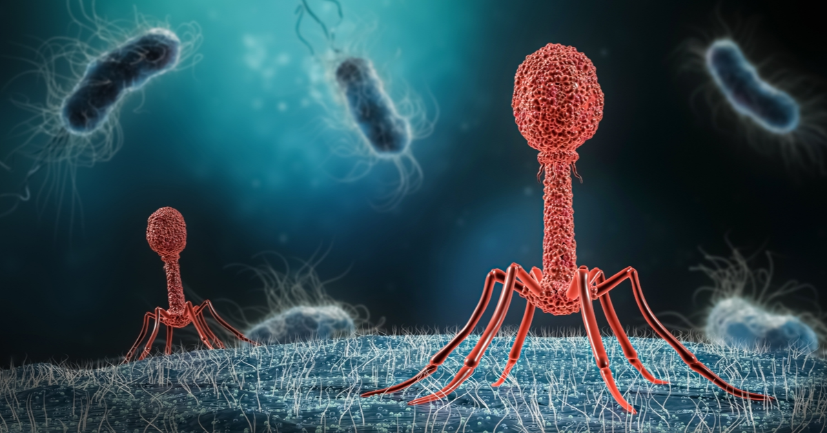 Phages v. Antibiotic-Resistant Bacteria: Who Will Win?