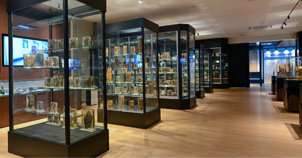 Specimens & Stories: Inside UM’s Medical Museum