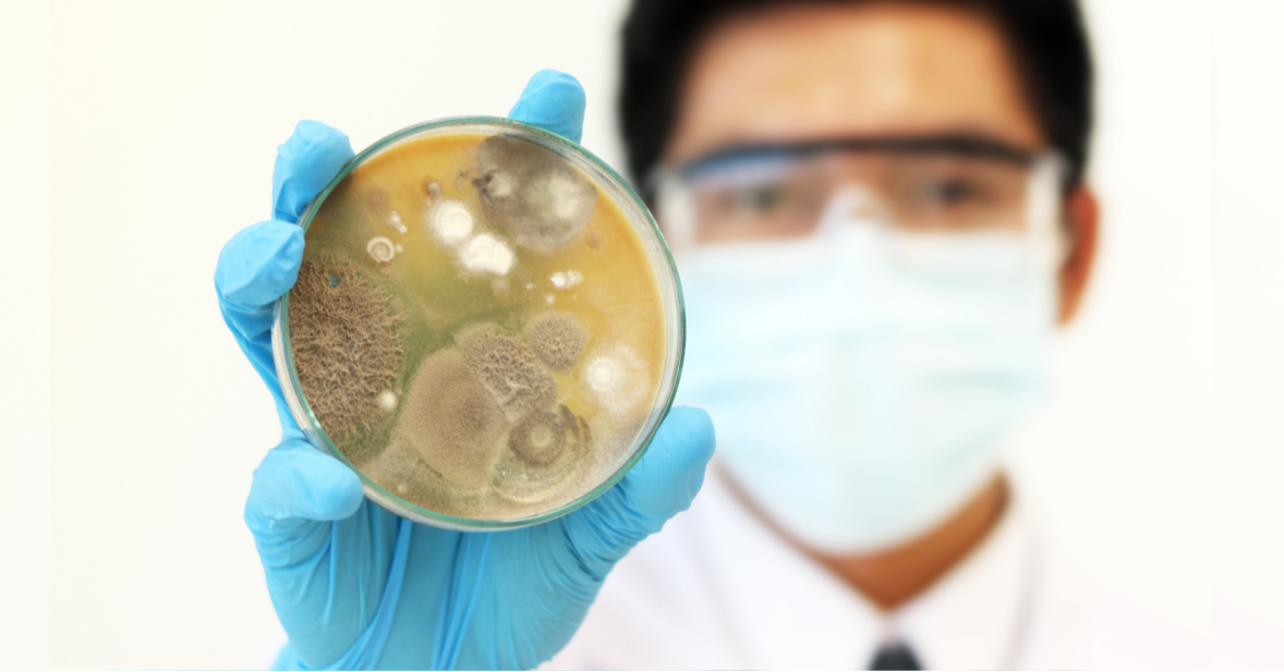Public Health: The Neglect of Fungal Infections