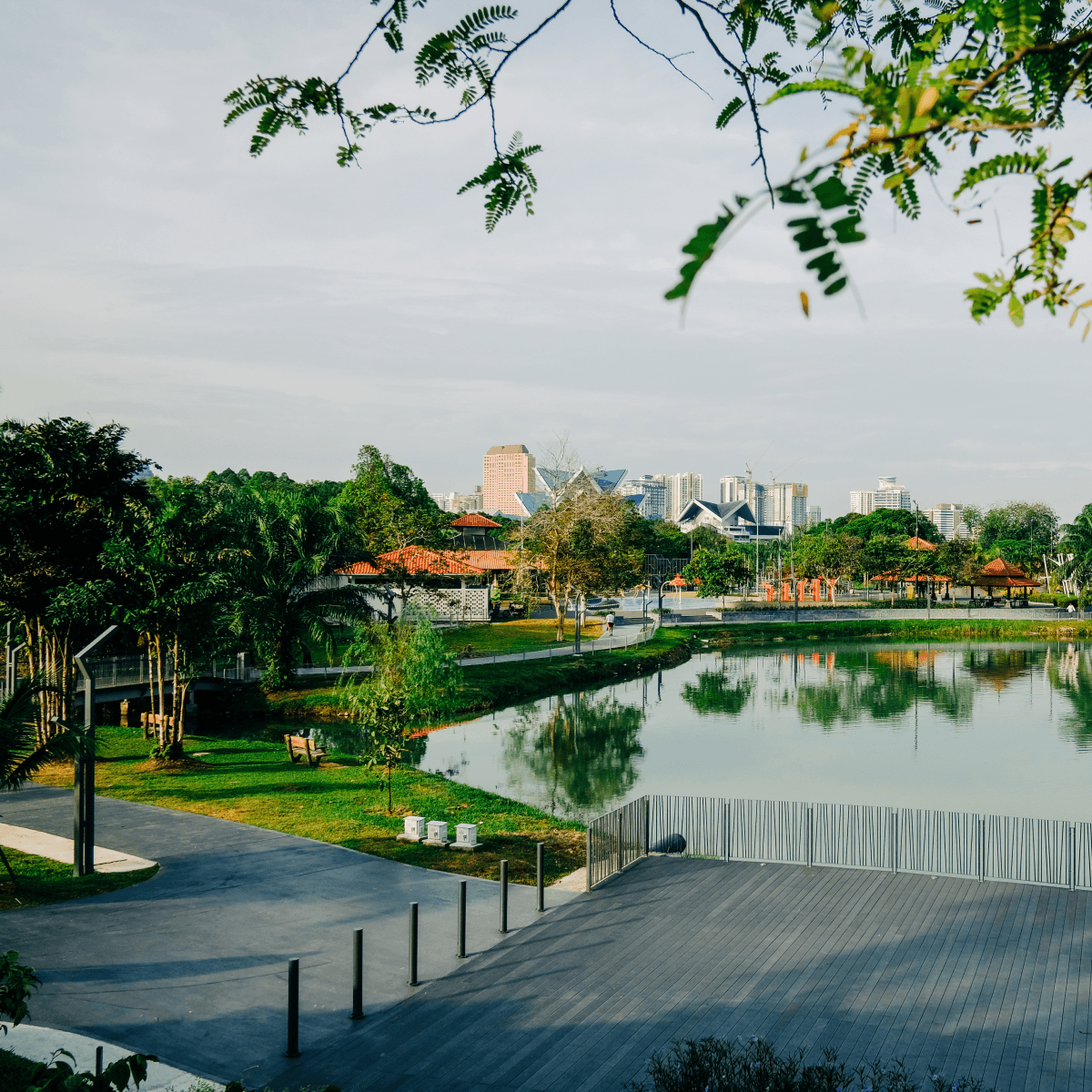 Parks and Reflections