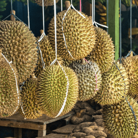 Doing Right By Our Durian