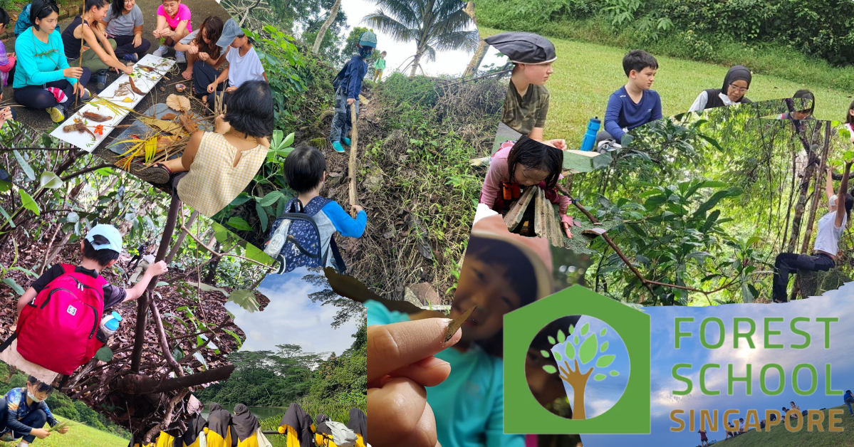 Out Of the Box #9: Forest School Singapore