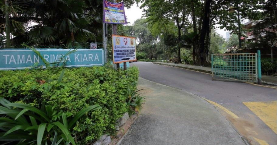 Law & Behold #51: The Taman Rimba Kiara Case & Our Right to a Sustainable Environment