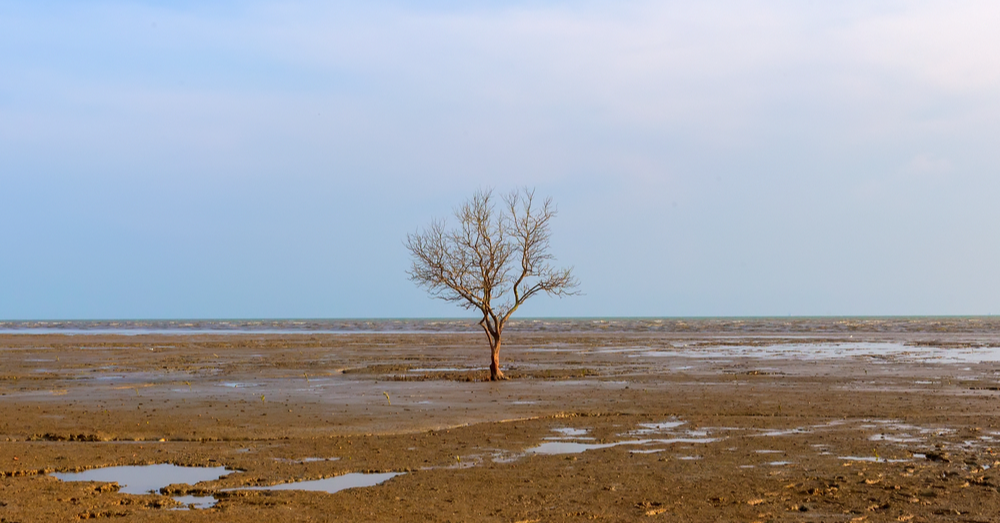 Is Malaysia Prepared for El Nino?