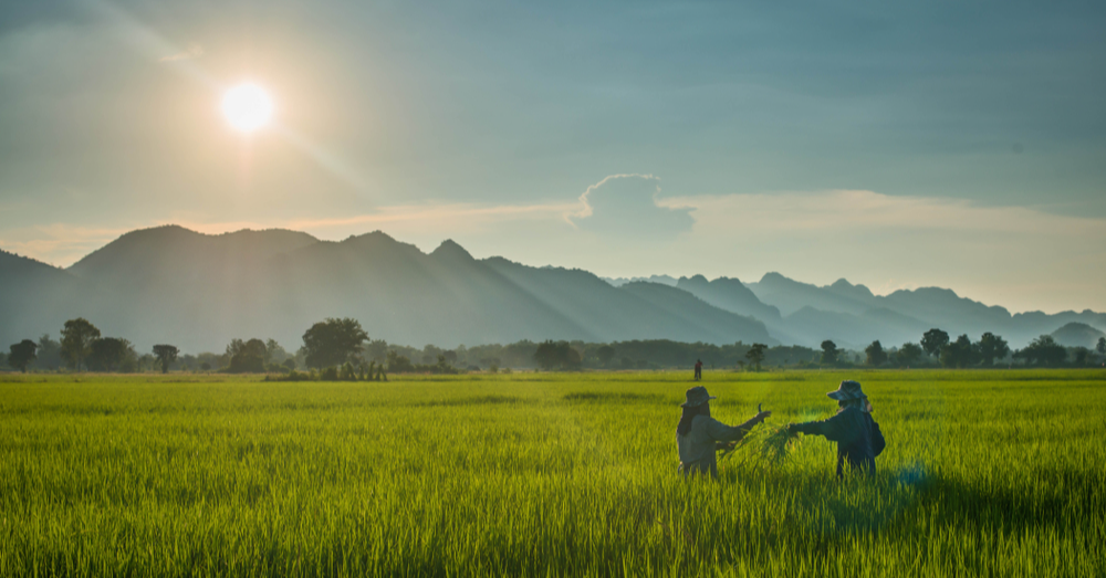 El Niño Is Coming. How Will An Already Food Insecure Malaysia Fare?