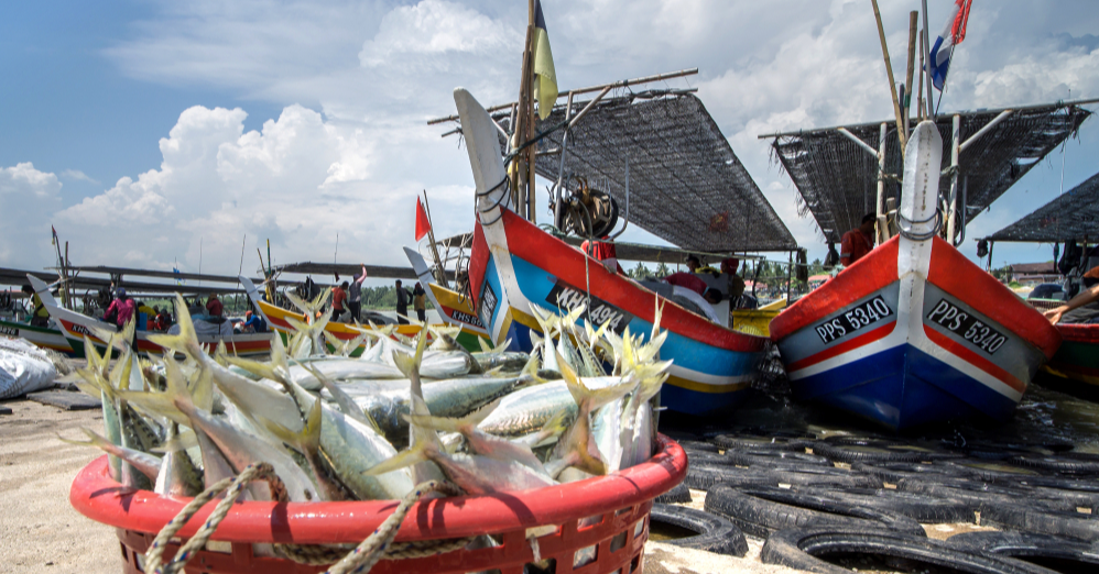 World Oceans Day 2023: It’s High Time We Take Sustainable Fisheries Sea-riously