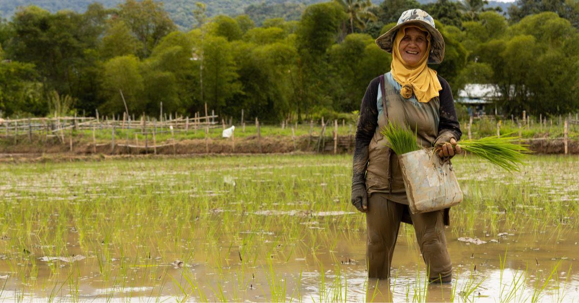 The Story Behind Heirloom Rice