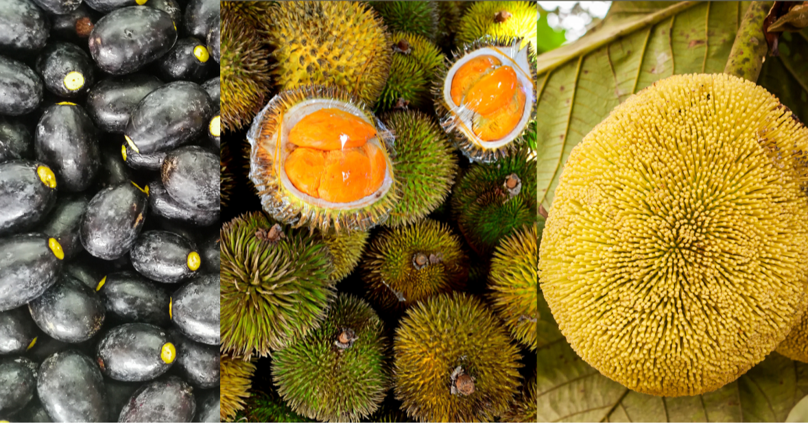The Powerful Fruits of Indigenous Sarawak 