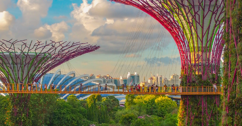 Singapore, A Safe Haven Amidst Increasing Volatility