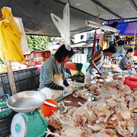 Producers Cry Fowl Over Ceiling Prices